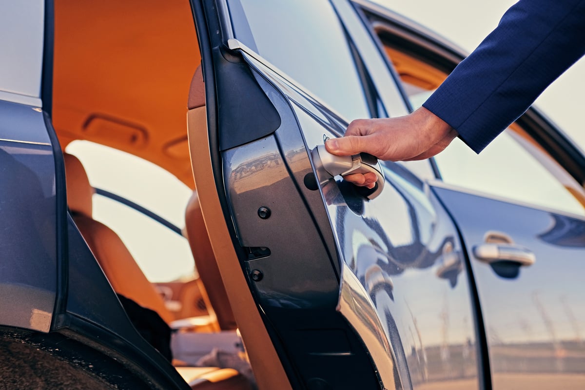 Man Opens Car's Door